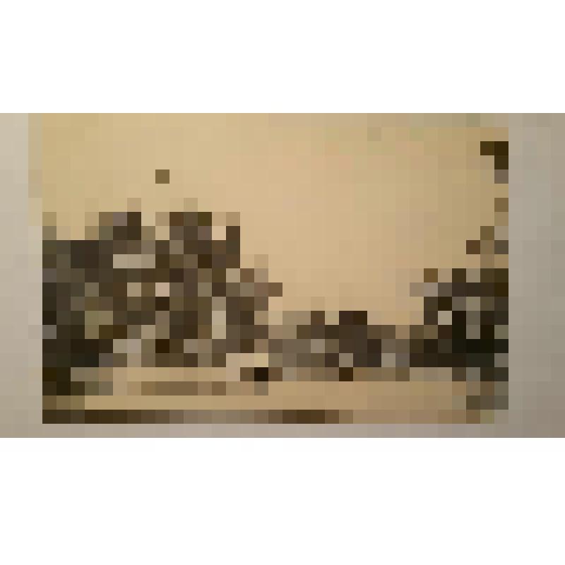 Александровский парк. Ограничен Маразлиевской и Успенской ул. и Лидерсовским бульваром. 1840. 1875. Украина, г. Одесса. Александровский парк. Боффо Франс (Франческо) Карлович. Парковые сооружения вдоль главной аллеи. Фототипия Шерер, Набгольц и Ко, Москва