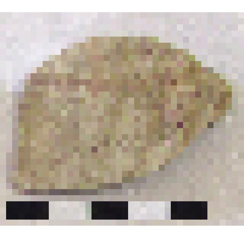 Фрагмент плеча амфоры типа D с дипинто