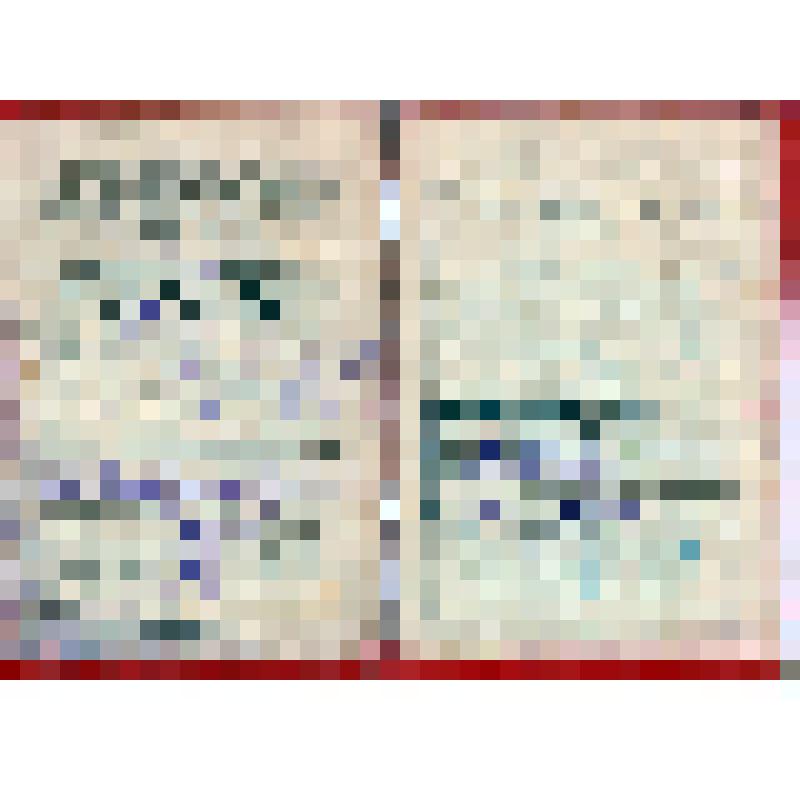 Членский билет N 04273227 Панина А.П. - члена Международной организации помощи борцам революции