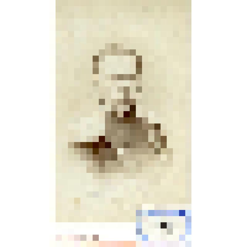 Фотография черно-белая. Барон Эрта Эдуард Густавович