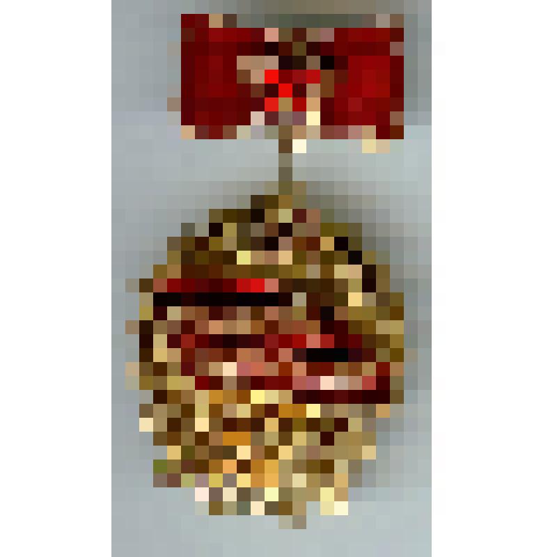 Знак нагрудный наградной «Победитель соцсоревнования 1974» Абрамова Николая Васильевича, слесаря-инструментальщика завода «Сардизель»