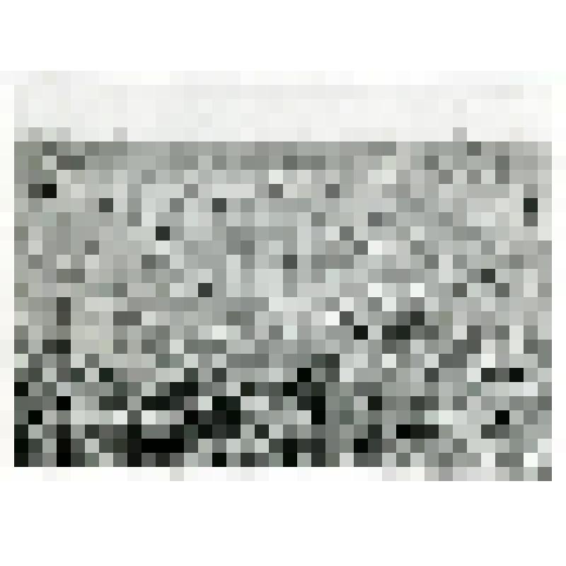 Фотография. Осоковый кочкарник с кровохлебкой у устья р. Мило