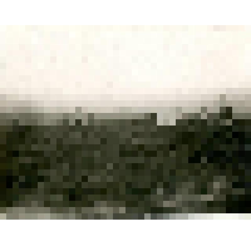 Фотография. Поселок Моёк