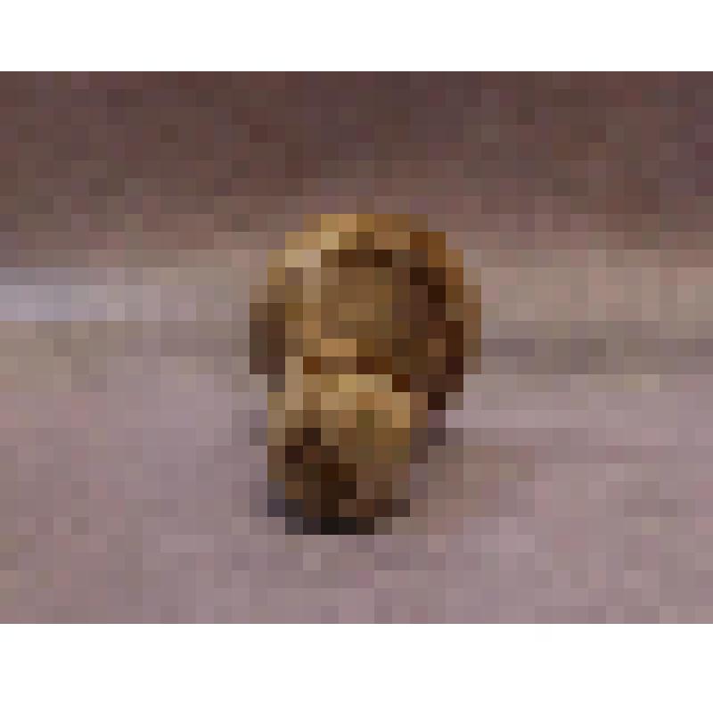 Предмет быта. Шахматы, фигура пешка белого цвета (Голубева Я.Г.). Из комплекта: Шахматы фигуры, изготовленные из рогов лося