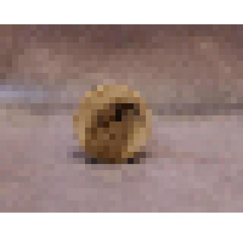 Предмет быта. Шахматы, фигура пешка белого цвета (Голубева Я.Г.). Из комплекта: Шахматы фигуры, изготовленные из рогов лося