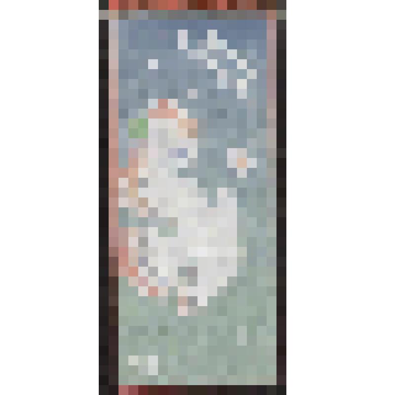 Вымпел "ХIII ВФМС. Мир, дружба", Пхеньян 1989 г