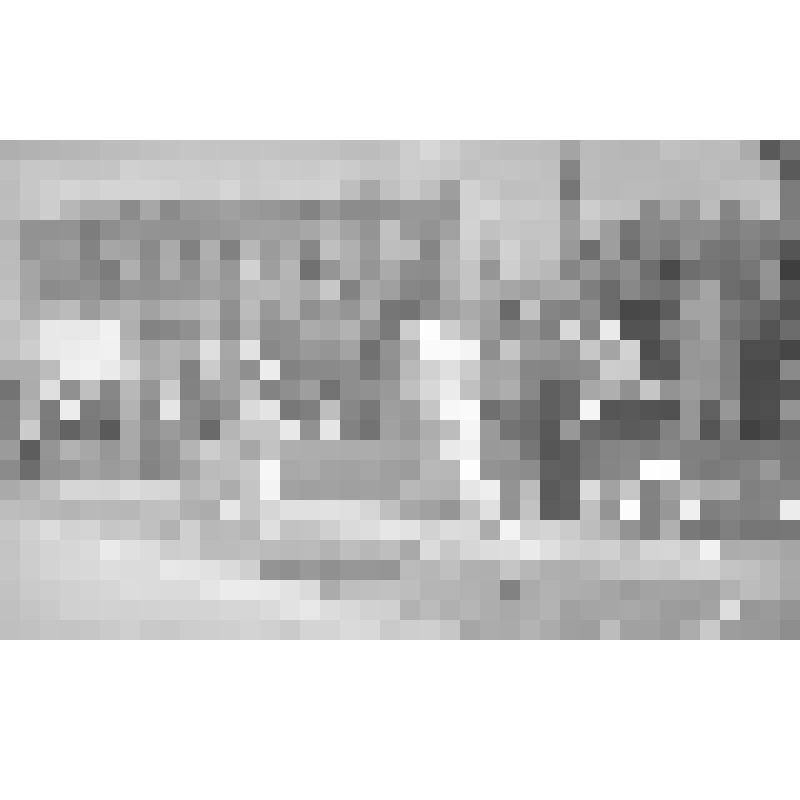 Негатив. Первенство РСФСР по фехтованию. Момент боя