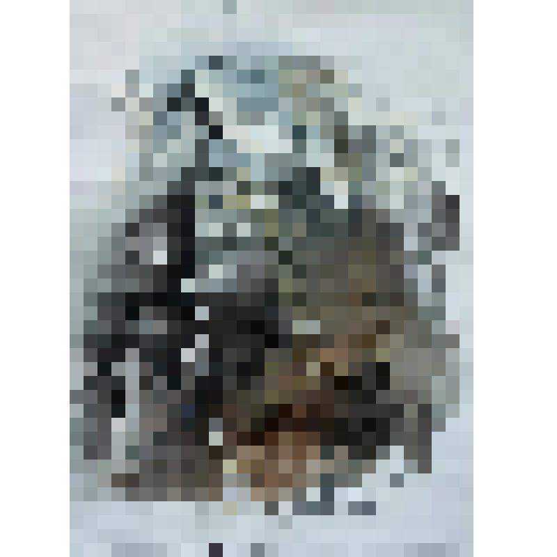 Диптих "Подготовка к свадьбе" картина "Скифский воин", 2017 г