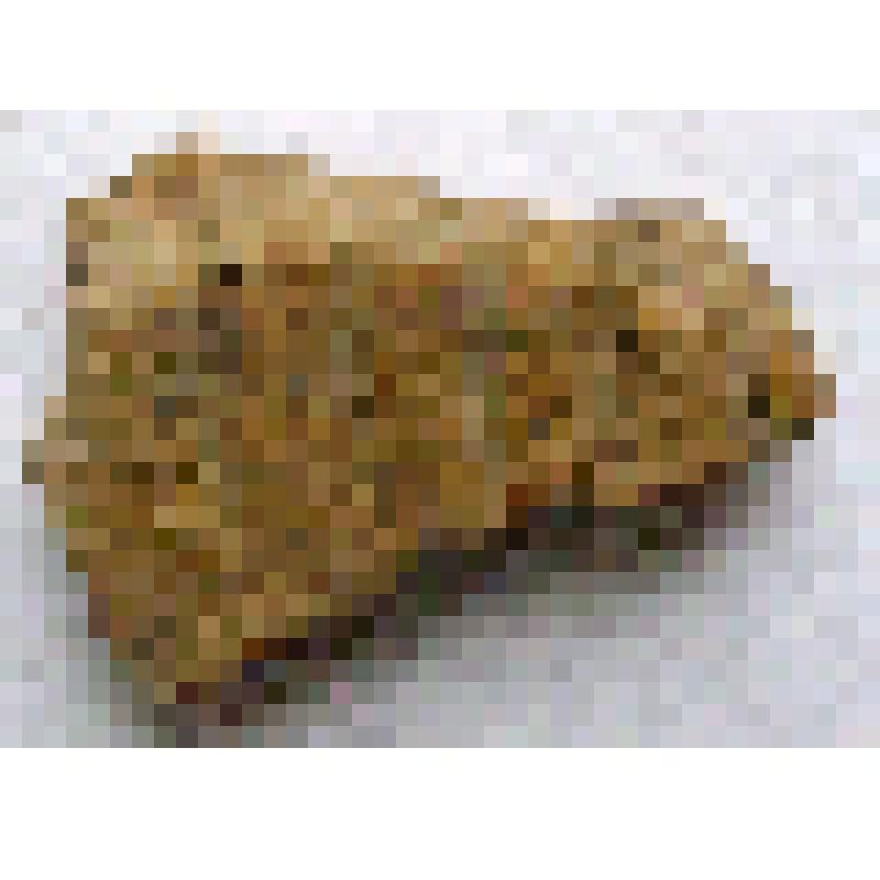 Фрагмент стенки сосуда