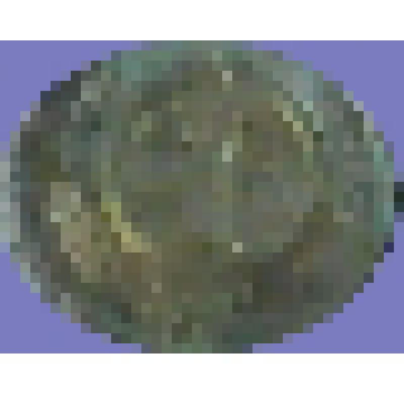 Монета иностранного государства. Кабо-Верде. Номинал 1 эскудо