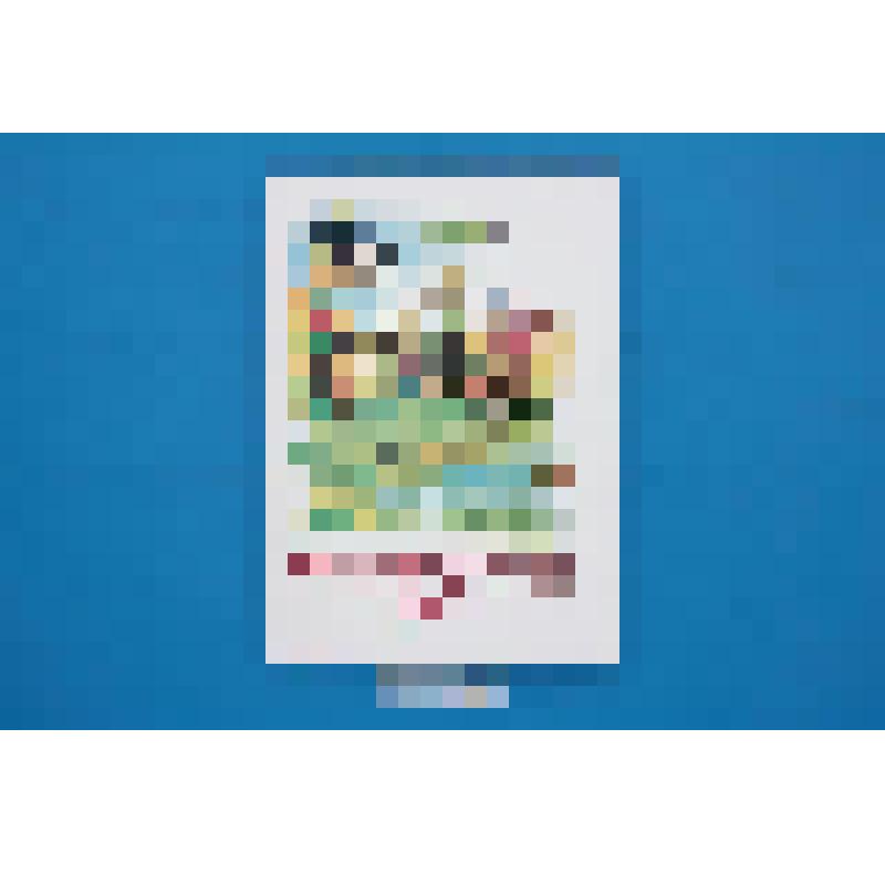 Книга. Сказка "Искал прудовичок друга"