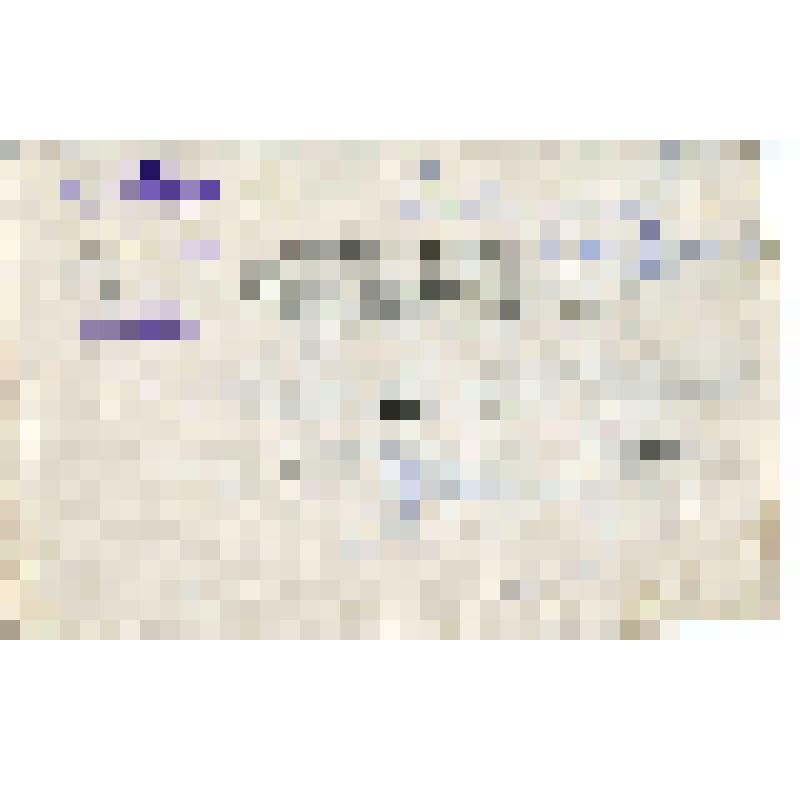 Письмо из Александровского Городского Совета Госмузею с извещением о том, что Горфинотдел созывает семинар для счетных работников