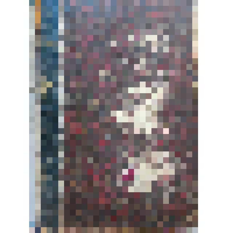 Книга учебная. Родной язык в средней школе (Опыт методики). - М.: Издание фирмы "Сотрудник Школ", 1911. - 556 с