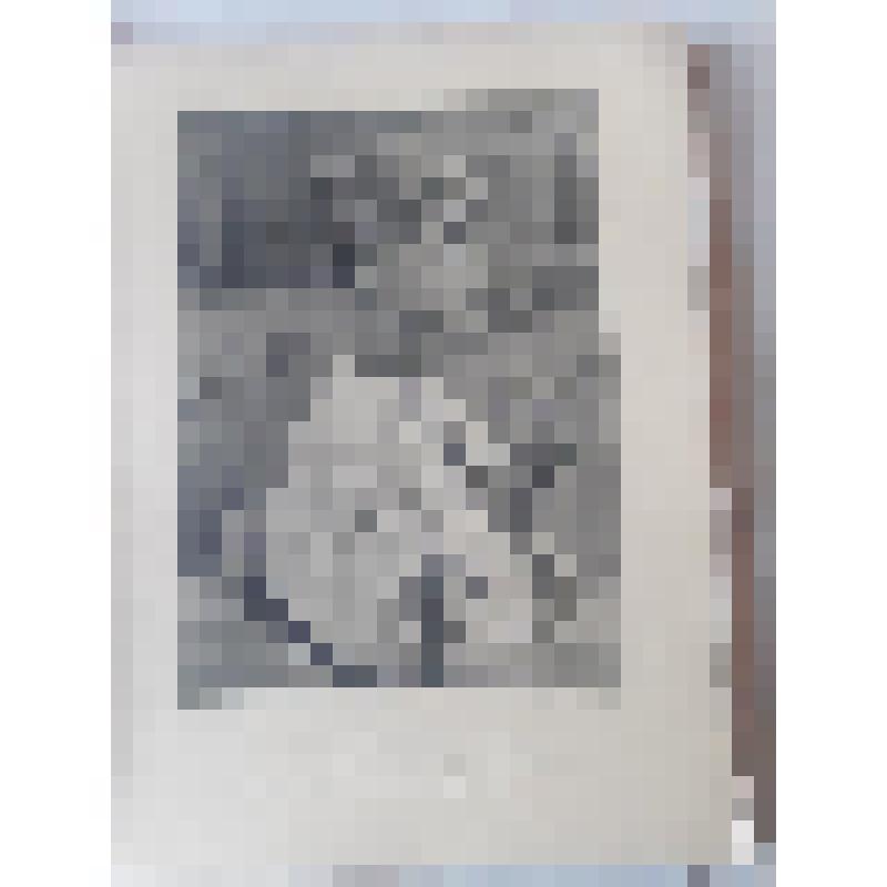 Книга. Глаголь С. Михаил Васильевич Нестеров. жизнь и творчество./ Грабарь И. Русские художники. собрание иллюстрированных монографий. Вып.5. Нестеров. -М.: изд. И.Кнебель,б/г