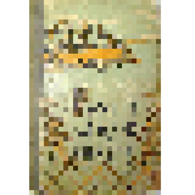 Книга. Русские народные сказки
