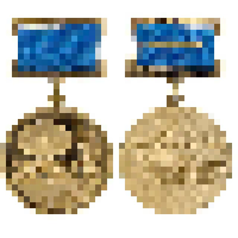 Медаль наградная. Золотая медаль "За миротворческую и благотворительную деятельность" (Международного общественного фонда «Российский фонд мира»)