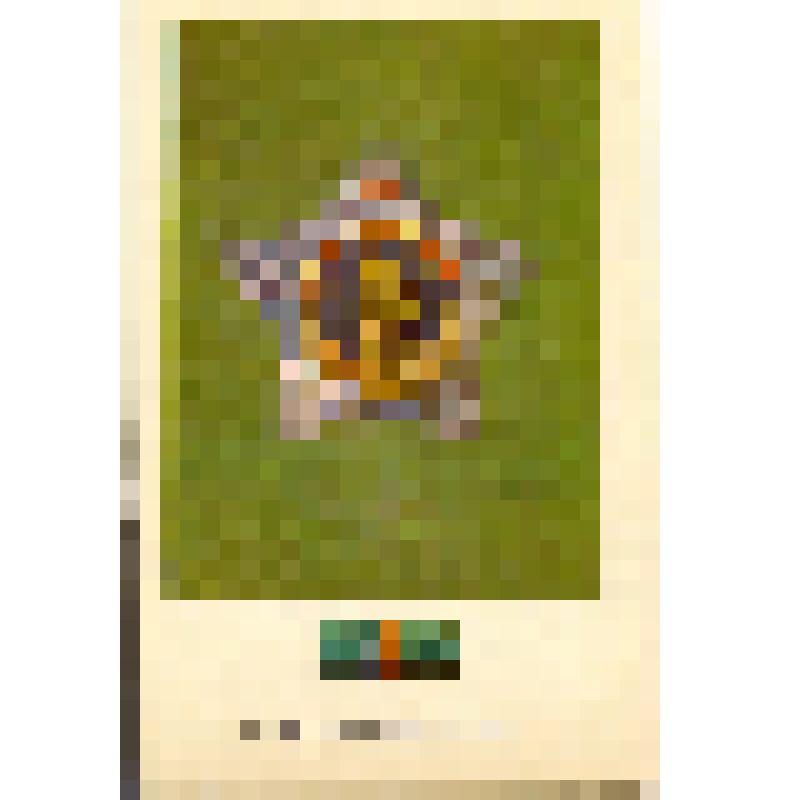 Комплект открыток. Ордена СССР 2-ой выпуск