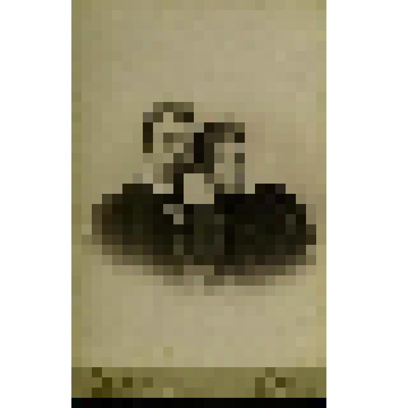 Фотография. Бахрушин А.А. с невестой Верой Васильевной Носовой накануне венчания