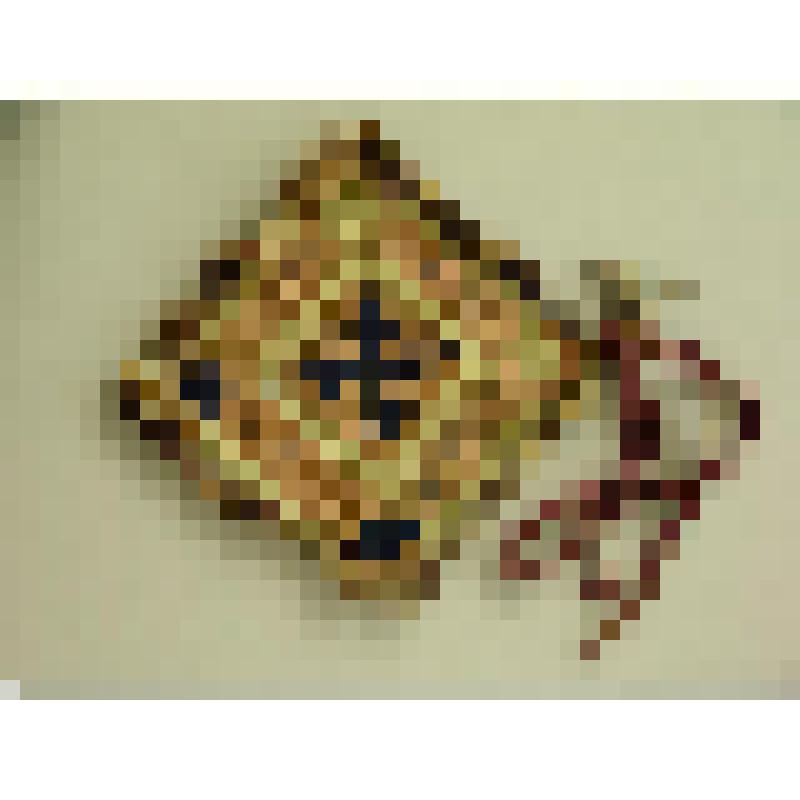 Атрибут культа. Игольник, ритуальный с застёжкой -птичкой