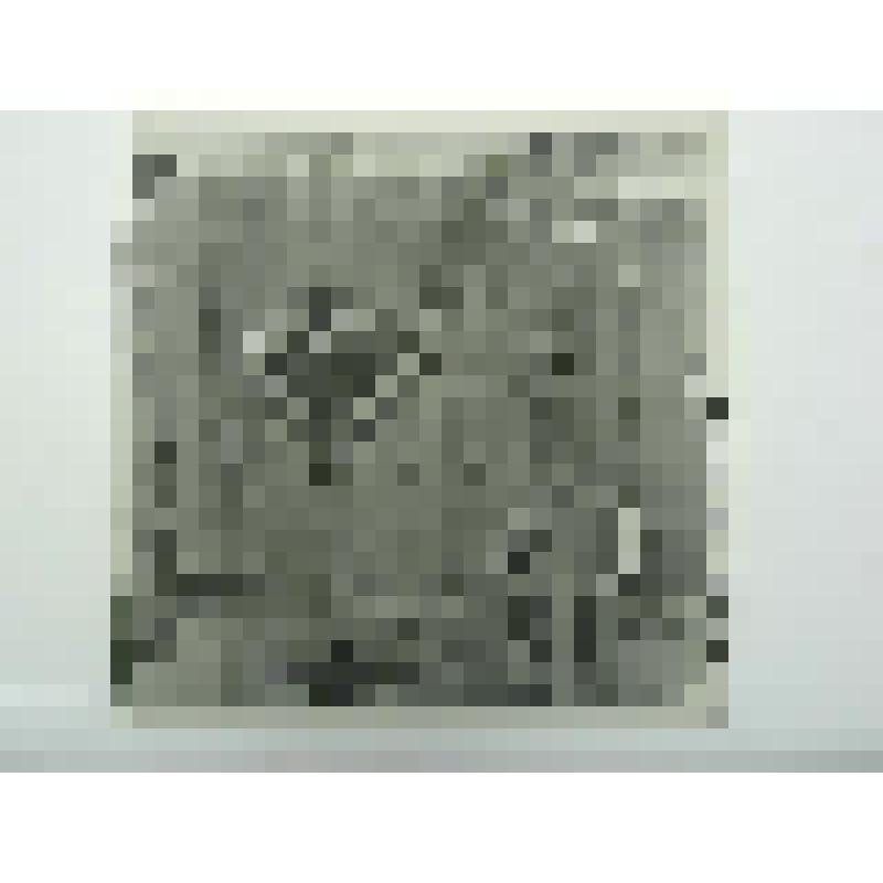 Дом Есенкова. нач.ХХ в. Челябинская  обл., Кусинский р-н, д. Аршинка. Дом Есенкова, нач.ХХ в. Ворота. Часть лицевого фасада с подворотной доской