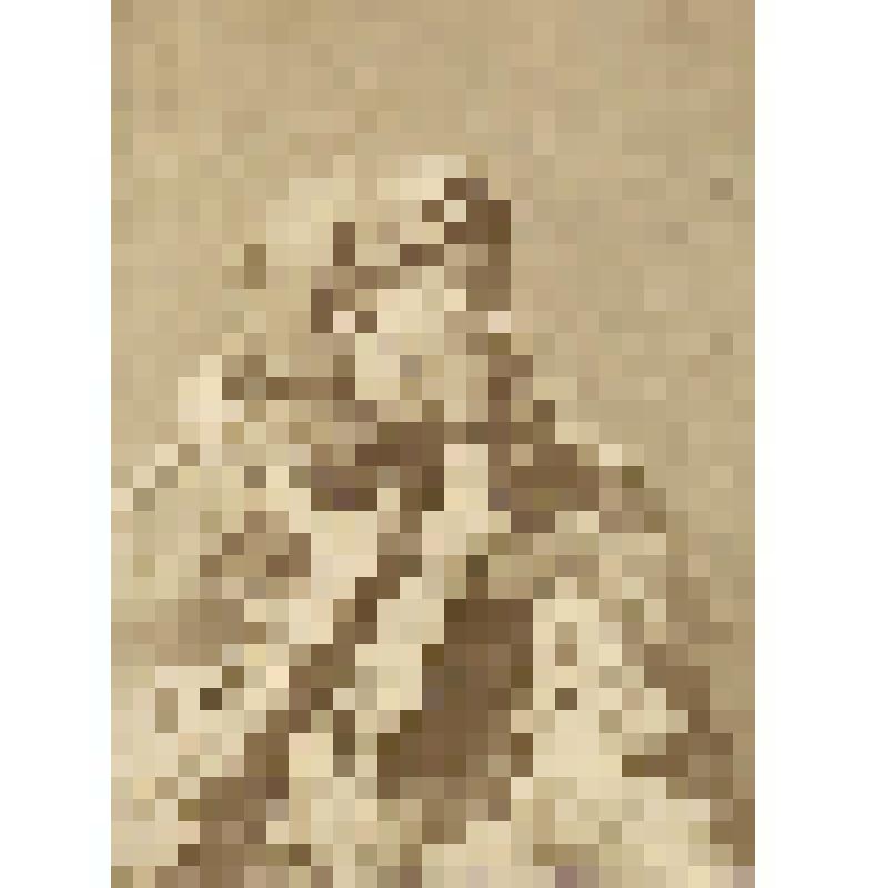 Фотоотпечаток. Девушка из селения Кули в нарядной одежде. Лакцы