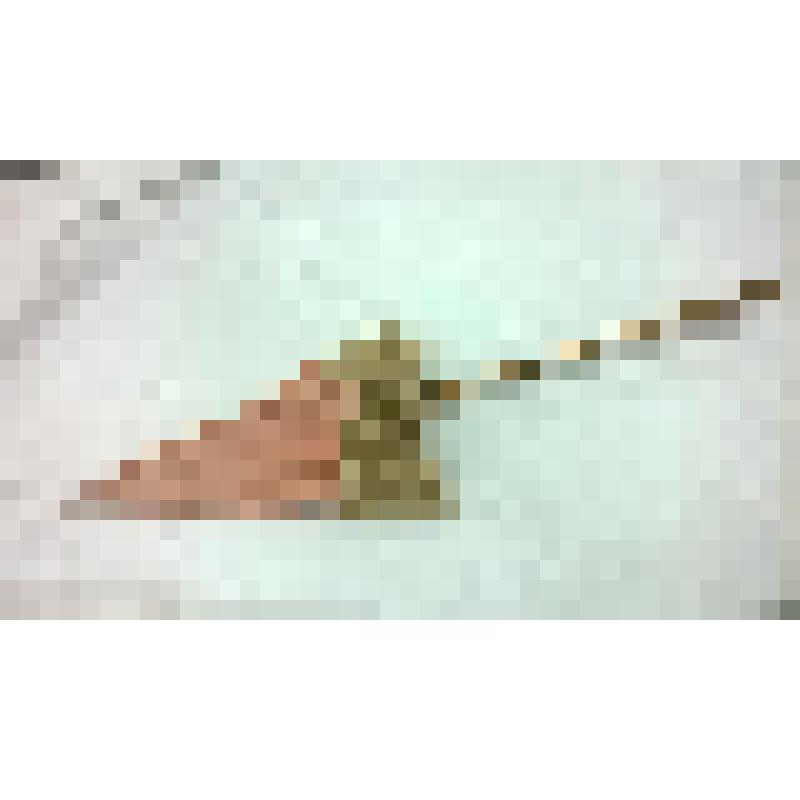 Зонт. Подгорецкой Н.Б