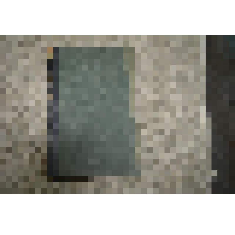 Энциклопедический словарь. Книга 2. от Алтай до Арагвай. Том IА. Под редакцией И.Е. Андреевокаго