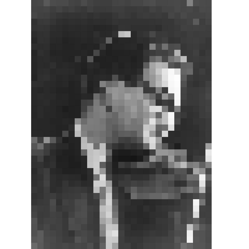 Негатив. Сассон М. - американский скрипач