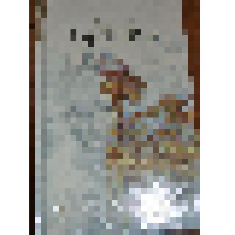 Книга. "Дикий цветок" стихи (на татарском языке). Литературно-художественное издание. Татарское книжное издательство. 420503. Казань, ул.Баумана, 19. 2000 год