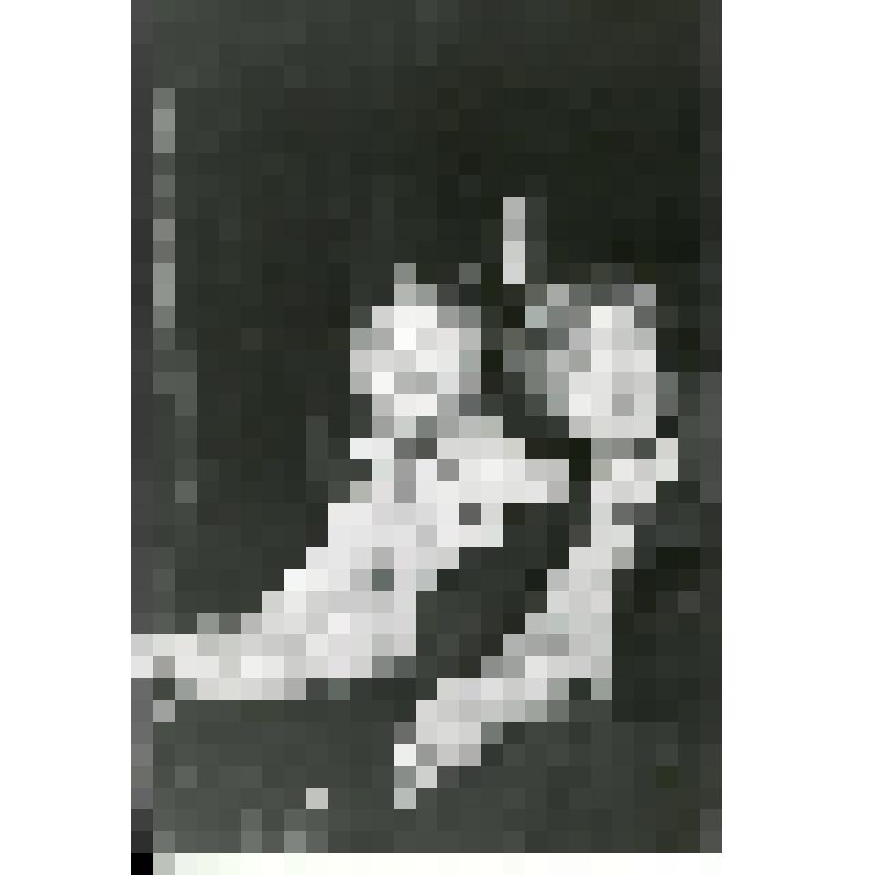 Фотография. Сцена из спектакля