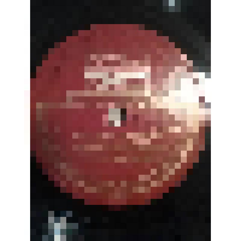 Грампластинка. Сцена у собора из трагедии А. Толстого "Царь Федор Иоаннович" (продолжение 3 и продолжение 4). Исполняют: И. Москвин, В. Ершов, А. Степанова, С. Блинников и артисты МХАТ СССР. "Царь Федор Иоаннович". Москва, Московский Художественный академ