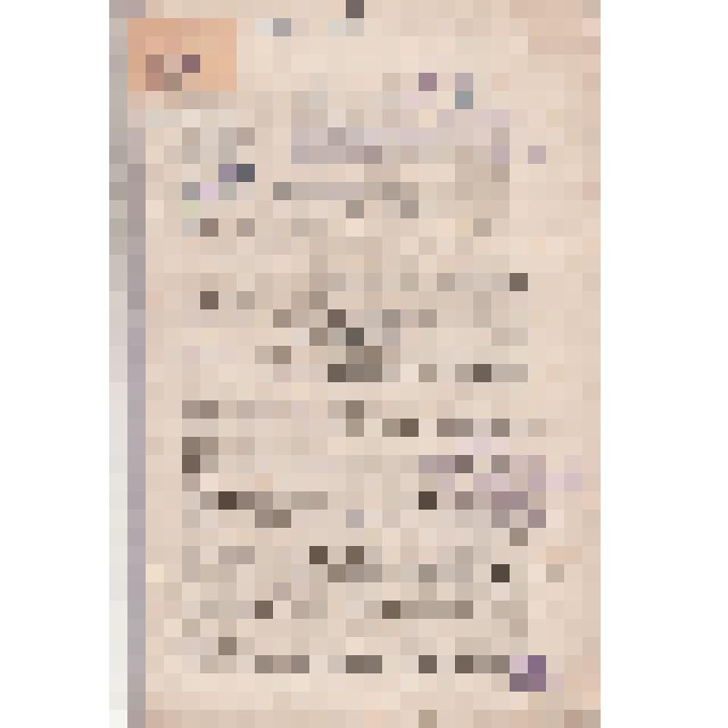 Брошюра. "Отчет о деятельности Тамбовского Богородично - Казанского Миссионерского Братства за 1885 г."