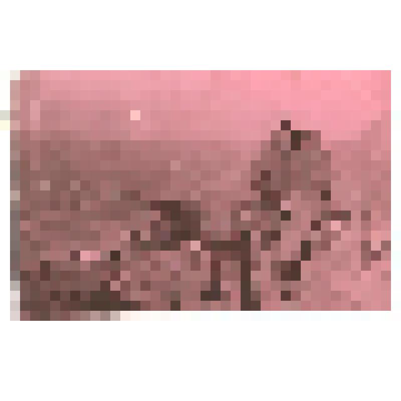 Фотография. Сар-Рустак. "Саша пулеметчик"