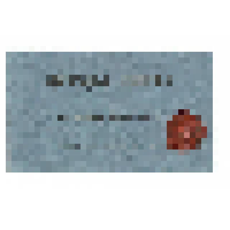 Билет входной. Билет входной на спектакль в пользу раненых