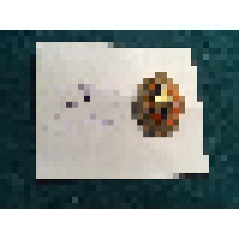 Кокарда на пилотку полковника медицинской службы Дунина Г.А