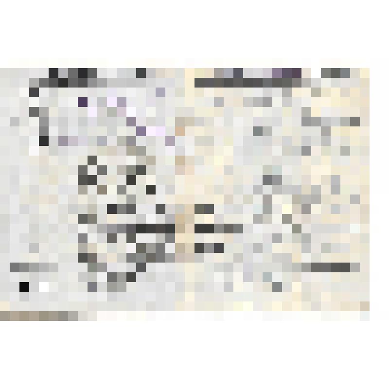 Документ. Членский билет № 45 Лебедева Петра Парфеновича, члена объединенного клуба профессиональных союзов советских торговых служащих города Кинешмы.
   Из коллекции материалов о Лебедеве Петре Парфеновиче (1892 г.- середина ХХ в.), уроженце деревни Шел