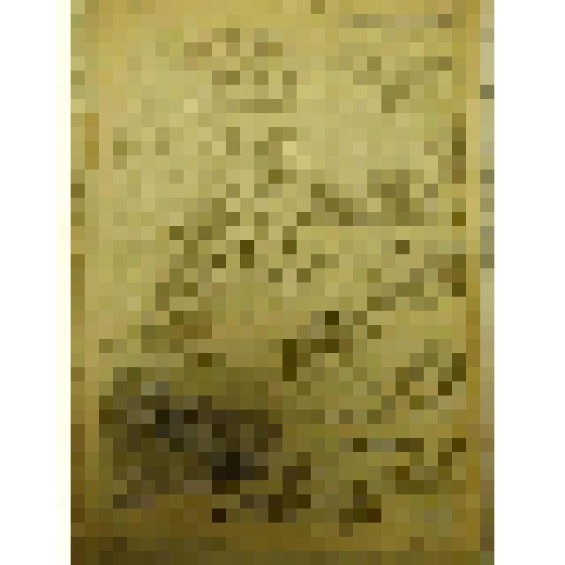 Документ. Газета красноармейская "Мы победим" № 108 от 07 августа 1944 г., орган 49-ой Ивановской стрелковой дивизии