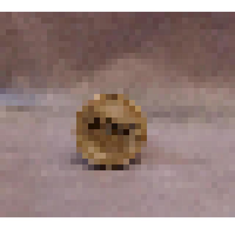 Предмет быта. Шахматы, фигура пешка белого цвета (Шахматы Голубева Я.Г.). Из комплекта: Шахматы фигуры, изготовленные из рогов лося