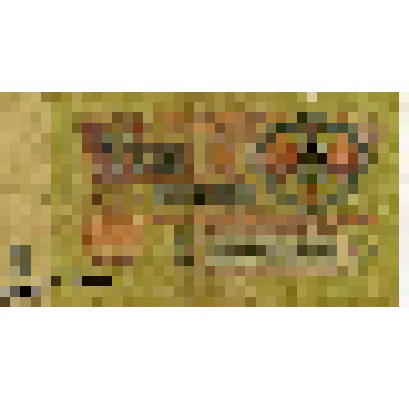 Государственный казначейский билет