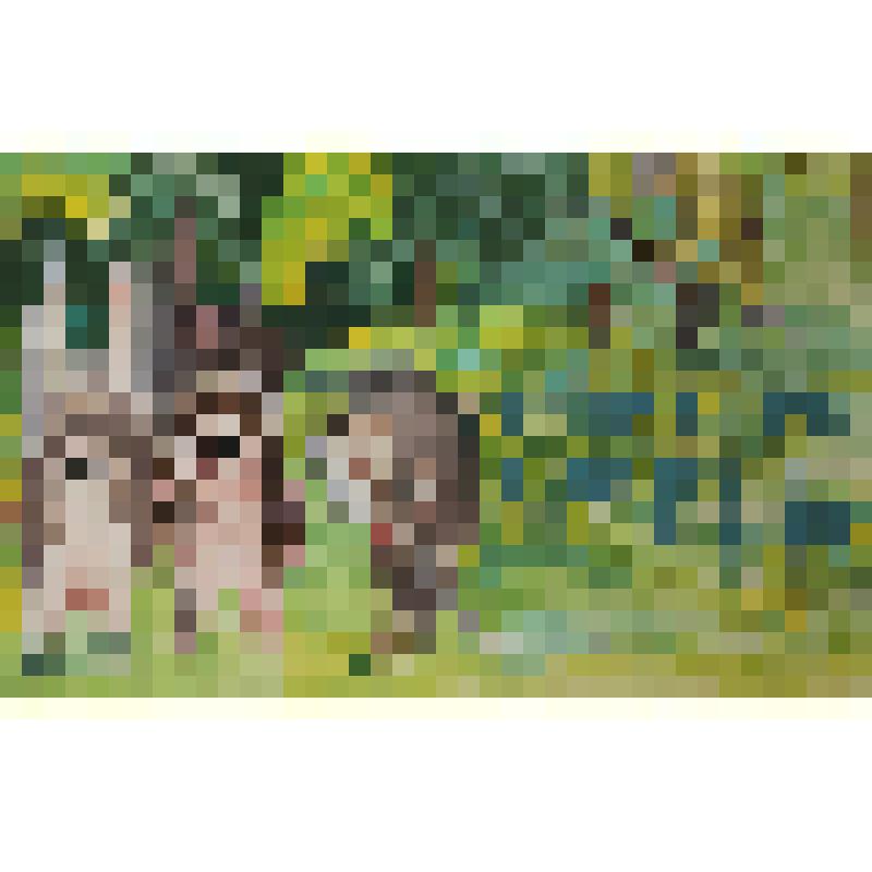 Плакат "Остановить браконьеров"