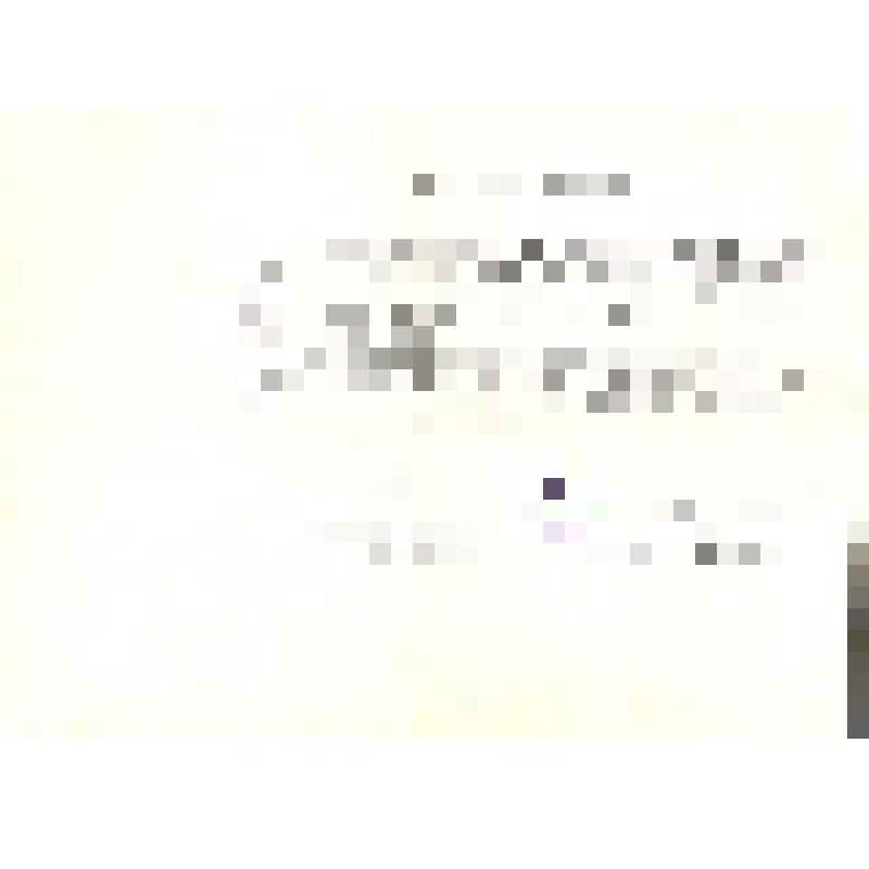 Письмо руководства Новочеркасского суворовского военного училища родителям суворовца Бойко Л. по итогам 1959-1960 учебного года