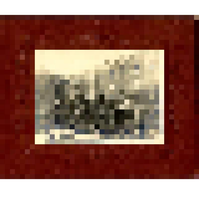 Фотография. Красные казармы (задний фасад) после пожара в 1929г