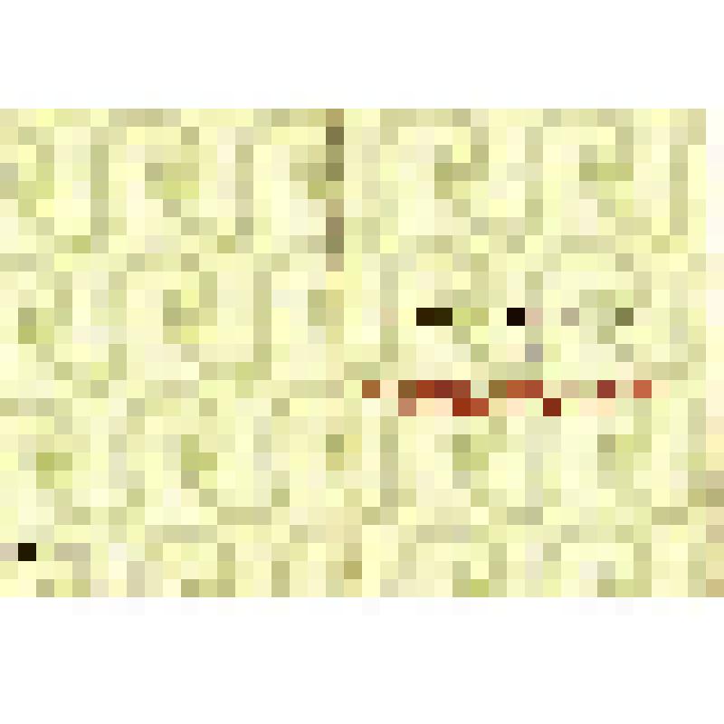 Удостоверение к знаку "Победитель социалистического соревнования 1979 года"