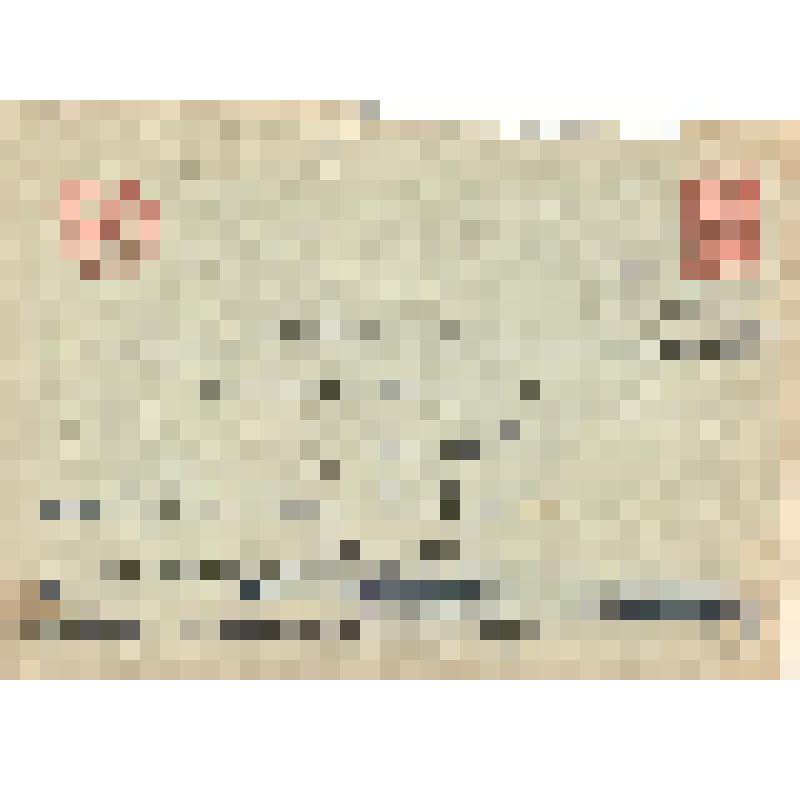 Конверт к письму Н.П. Ефименко к П.П. Ефименко