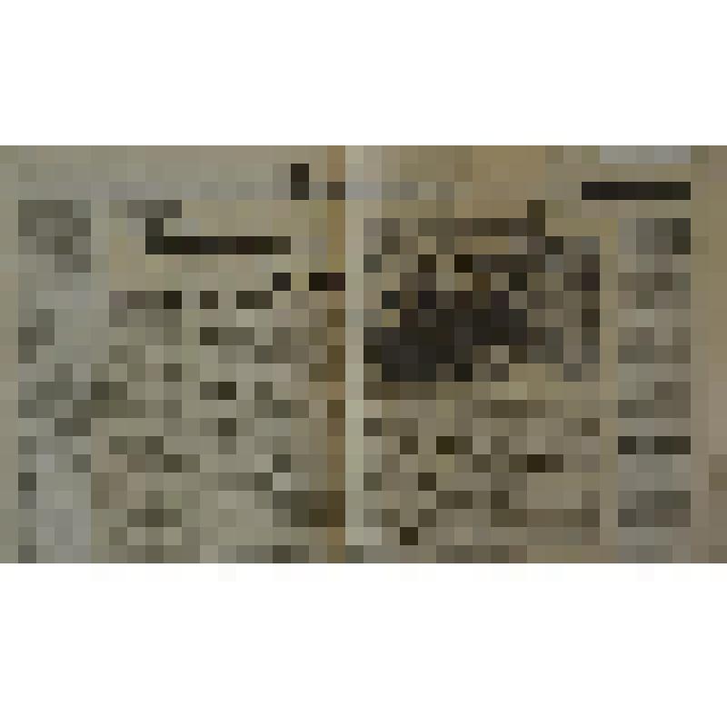 Газета. Слава Севастополя. - Севастополь. - 18 января 1995. - №10. - 4 С