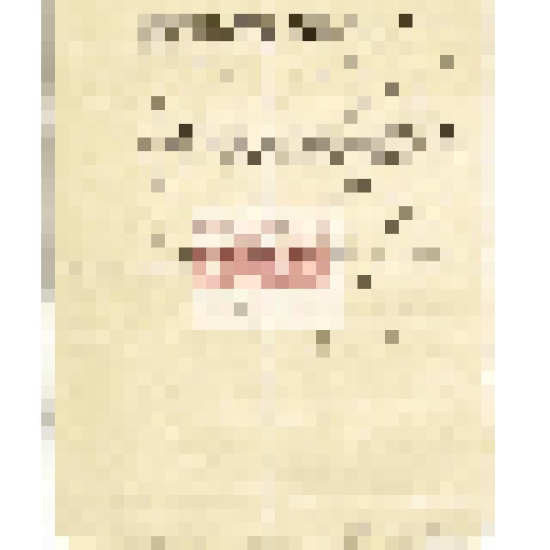 Письмо    правителя    дел    Восточно-Сибирского     отдела     ИРГО     Д.     А. Клеменца Мартьянову уведомлением об отправке 100 руб. для снятия надписей с изваяний и своей лекции (20 экз.) для продажи по 60 коп. за экземпляр