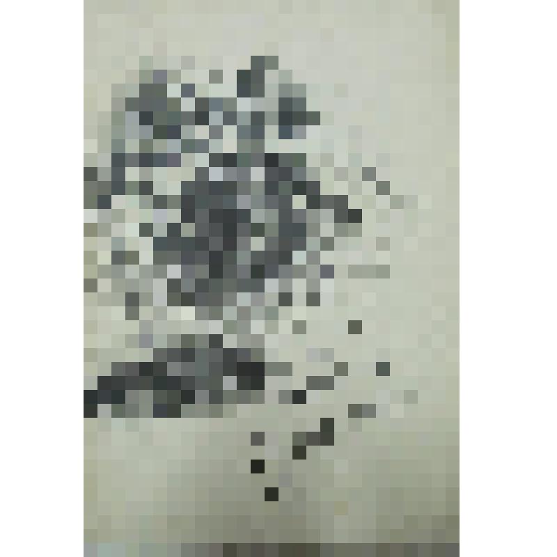 Программа музыкально-вокально-литературного вечера в Тотемском реальном училище во вторник, 4 апреля. Обложка. Рисунок