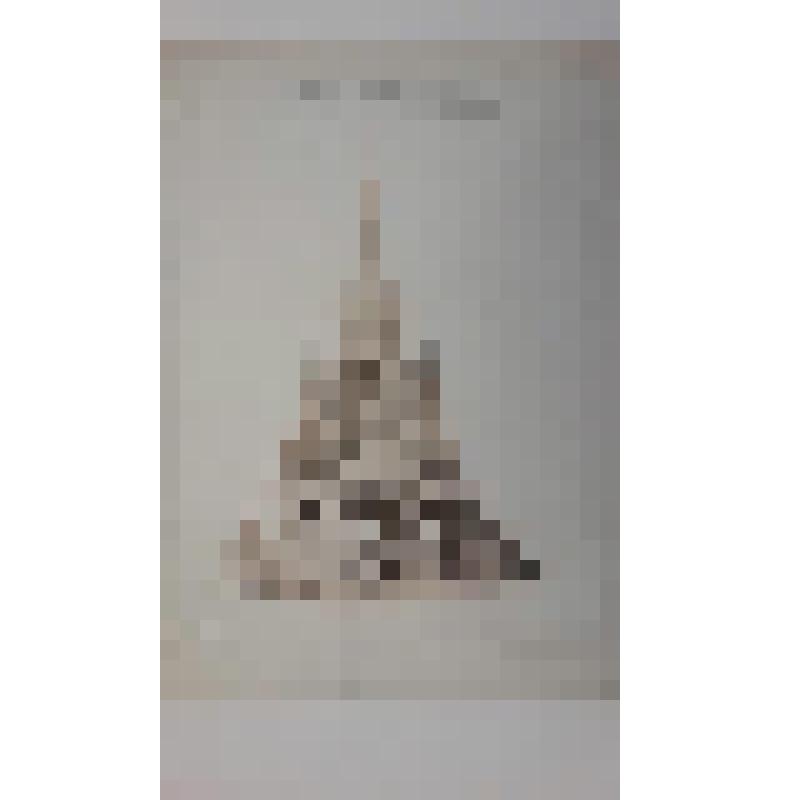 Храм Воскресения Христова ("Спас на Крови"), наб. канала Грибоедова.(Екатериниский), 26. 1883-1907 гг. г. Санкт-Петербург (Ленинград). Храм Воскресения Христова ("Спас на Крови"). Парланд Альфред Александрович. Второй конкурс проекта храма. Восточный фаса