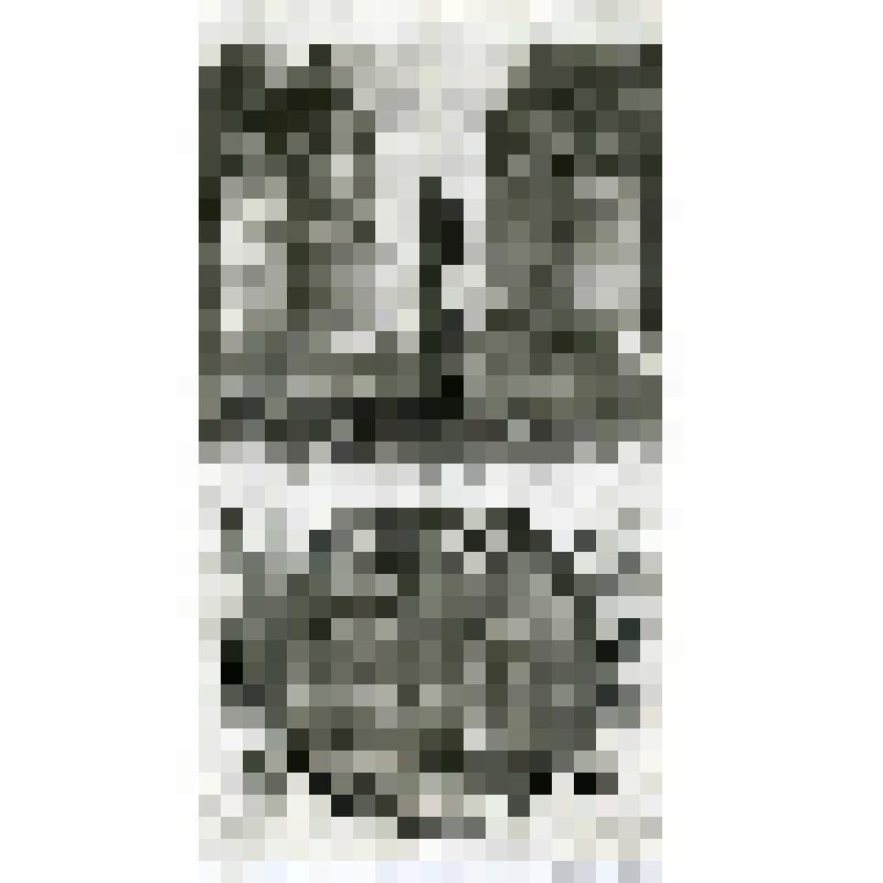 Офорт. Лист 73. Прогуливаясь по кровле царского дома, Давид увидел купающуюся Вирсавию. Нафан приводит Давида к покаянию (II Цар. 11, 12)