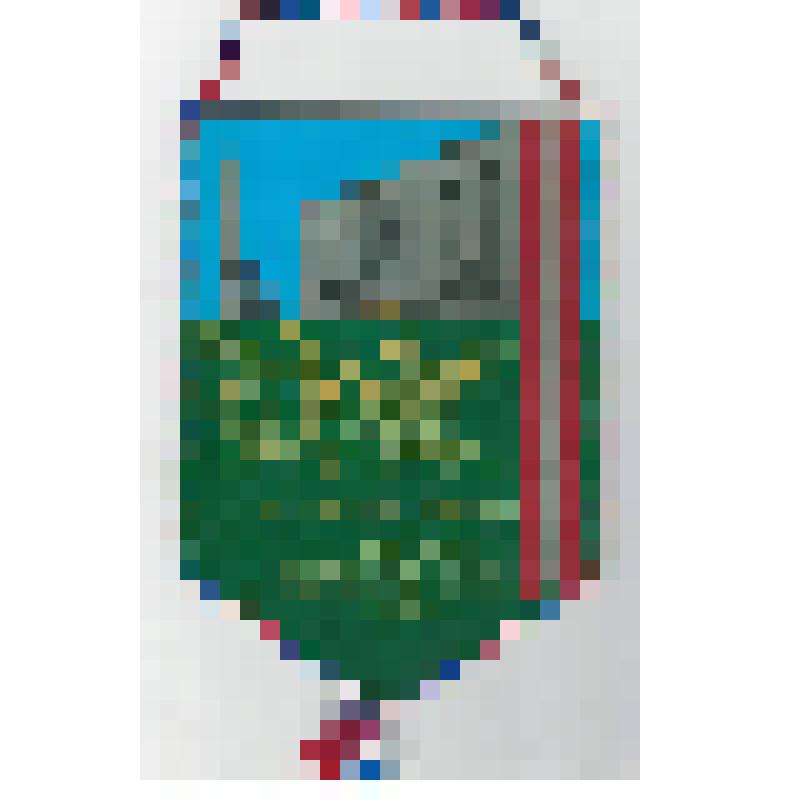 Знамена, флаги, вымпела. Вымпел пятиугольной формы, изготовлен из ткани, по краям окантован трехцветным сине-бело-красным шнуром. На лицевой стороне изображено здание центрального музея Вооруженных Сил и военные атрибуты, на оборотной стороне распорядок р